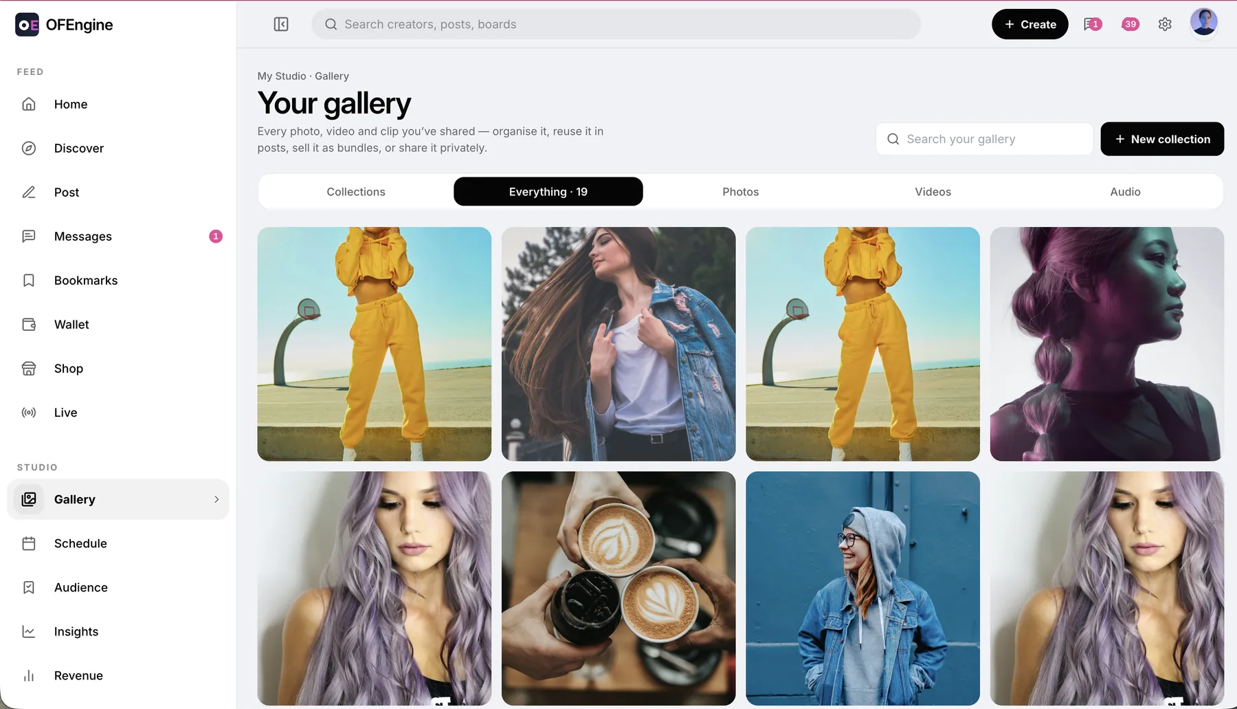 Creator media vault gallery with collections
