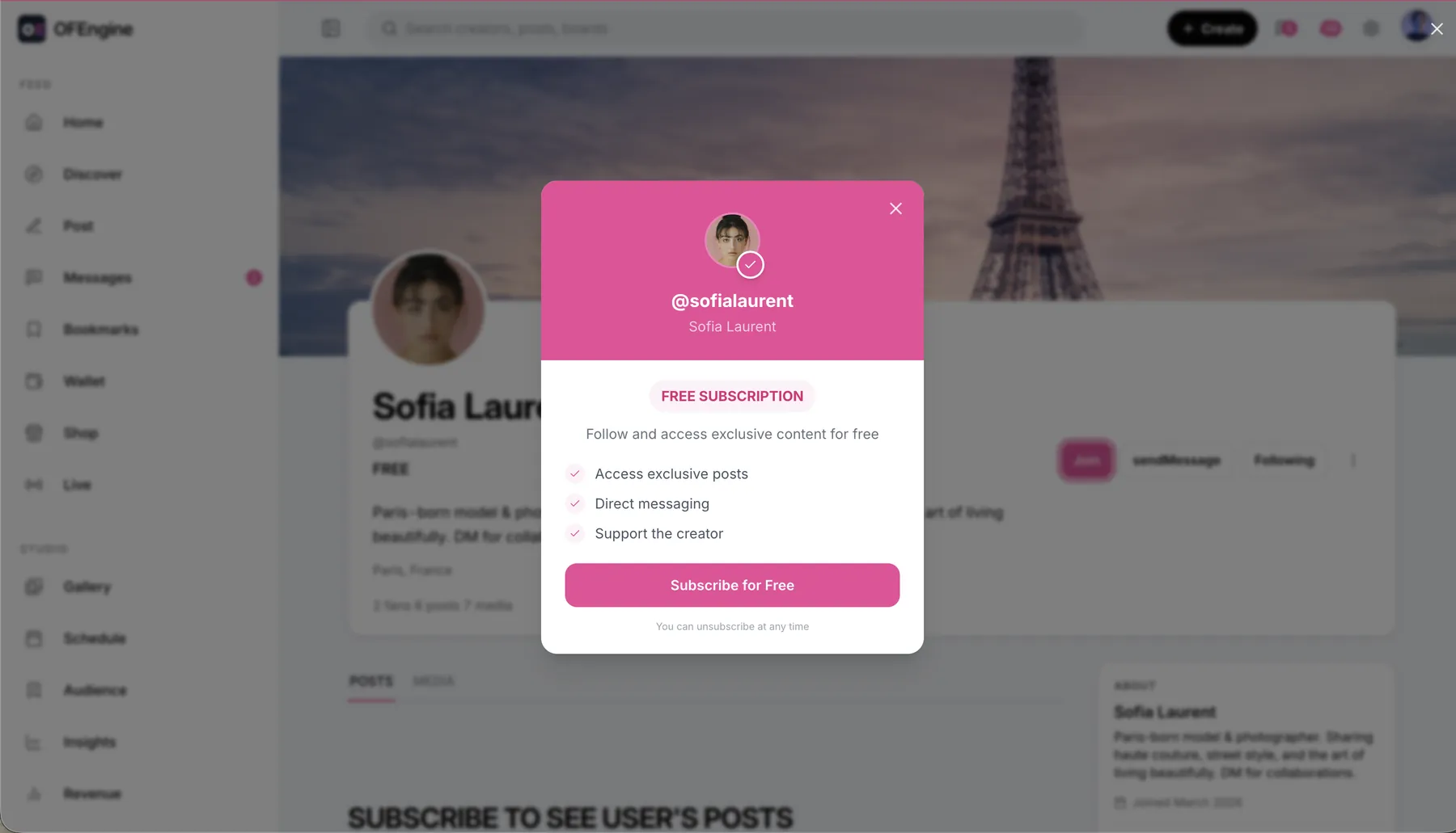 Creator subscription paywall in the Patreon clone script